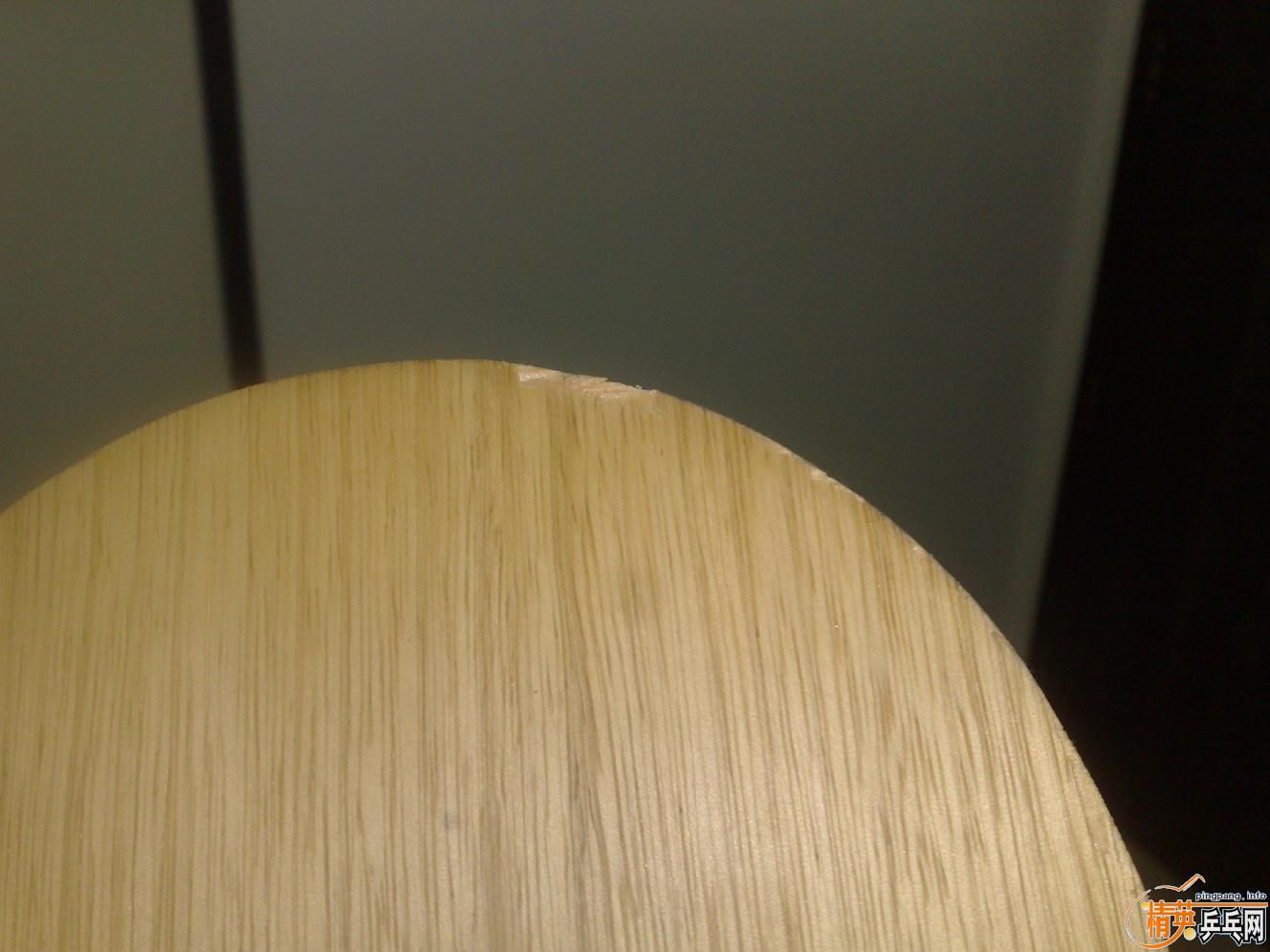 ��һֻ�����õ���˹