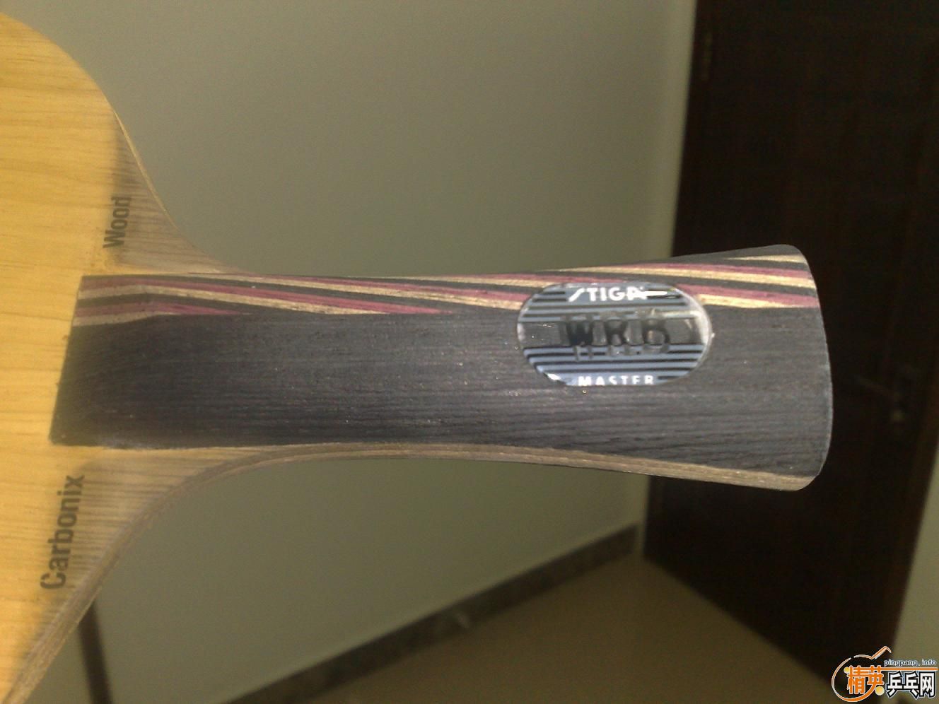 ��һֻ�����õ���˹