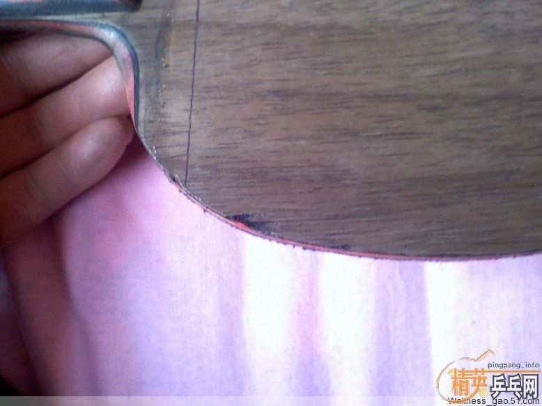 ֱ����ʤ�л� ���̼��