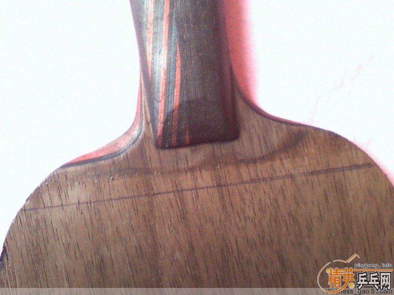 ֱ����ʤ�л� ���̼��