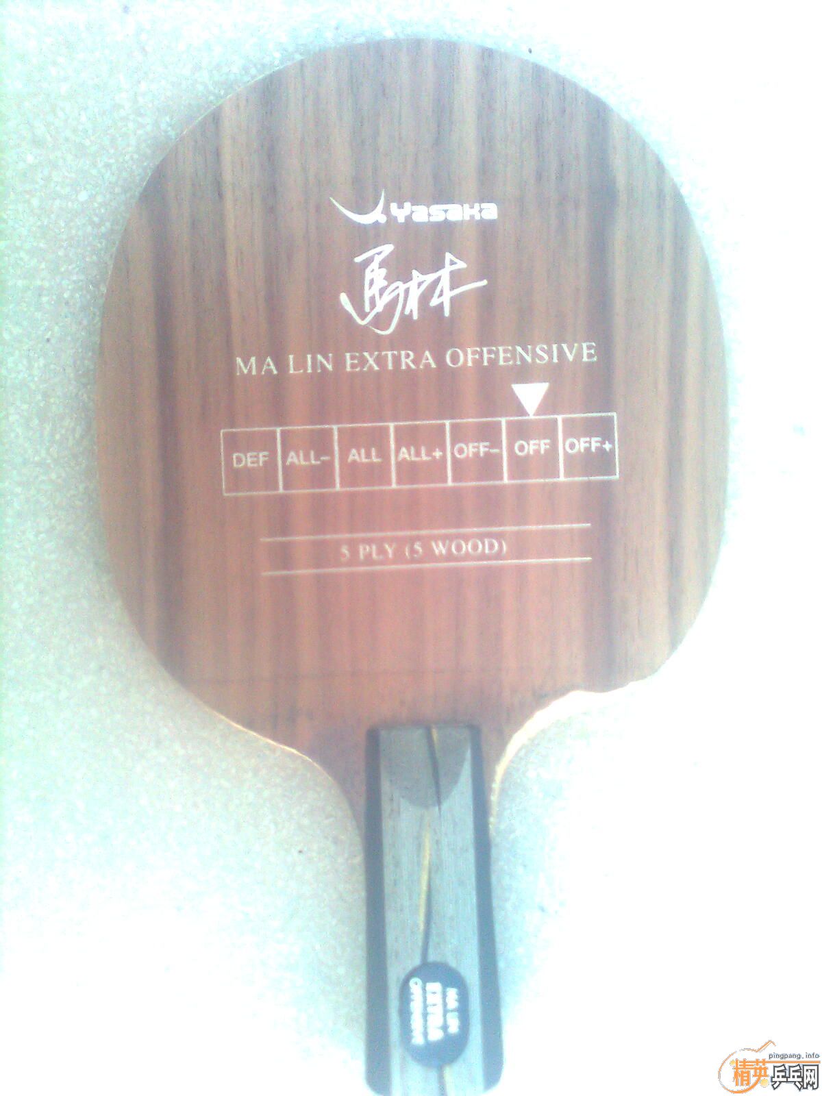 ��9��8����YEO