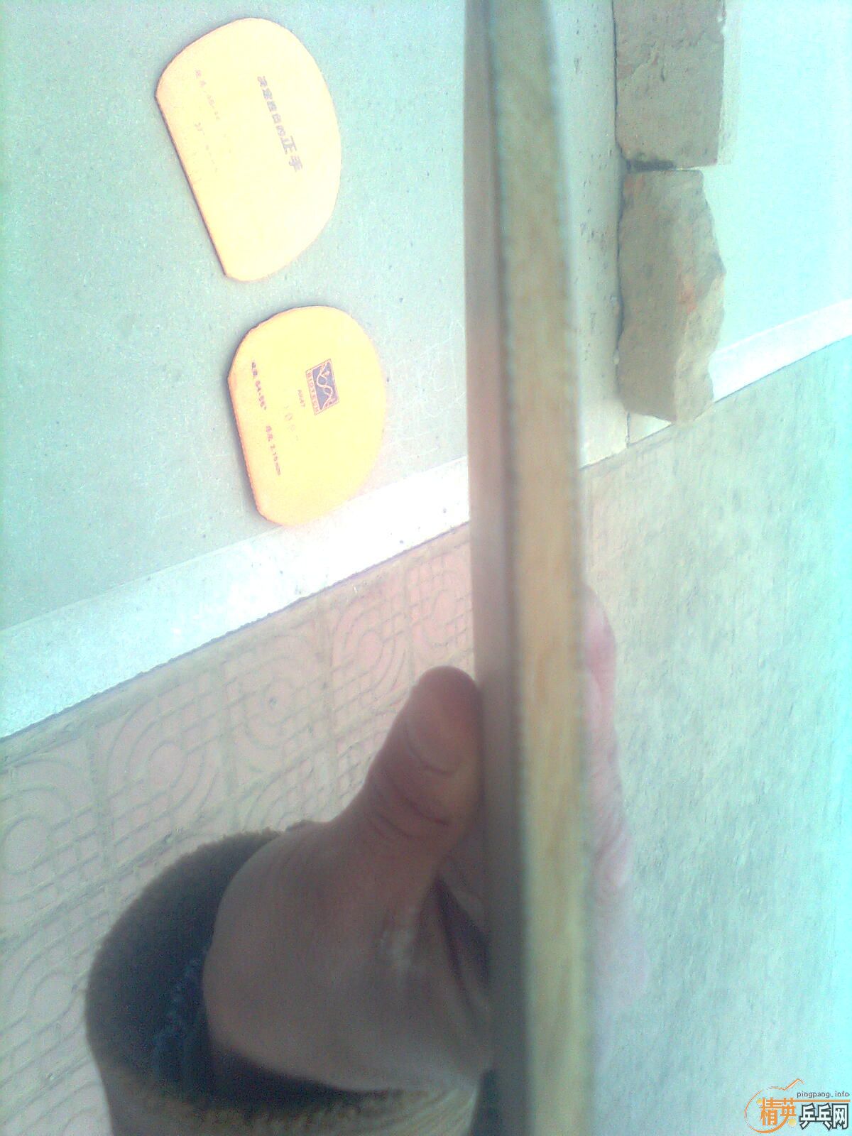 ��9��8����YEO