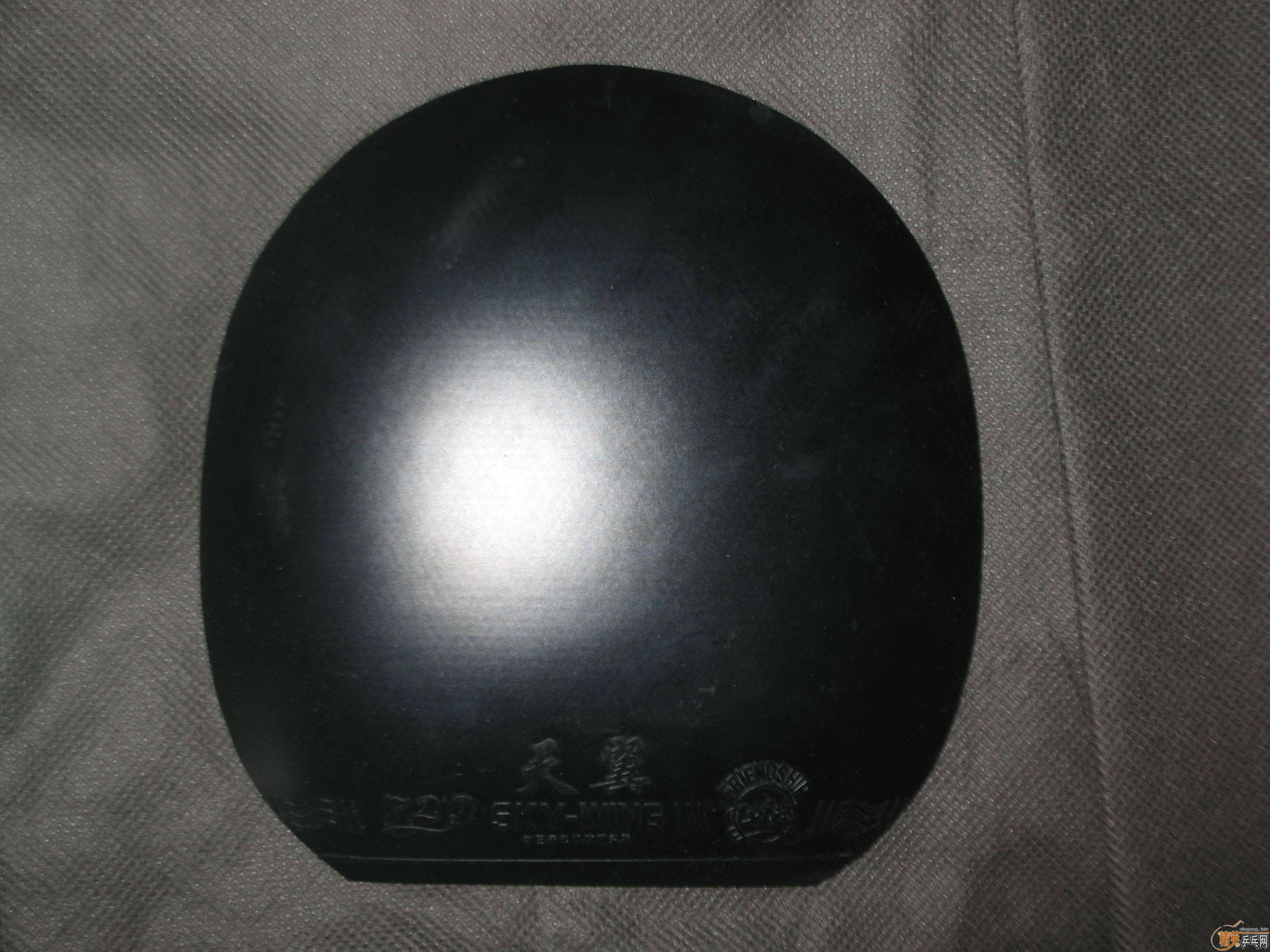 ����9.5�µ���ɷ��729-08