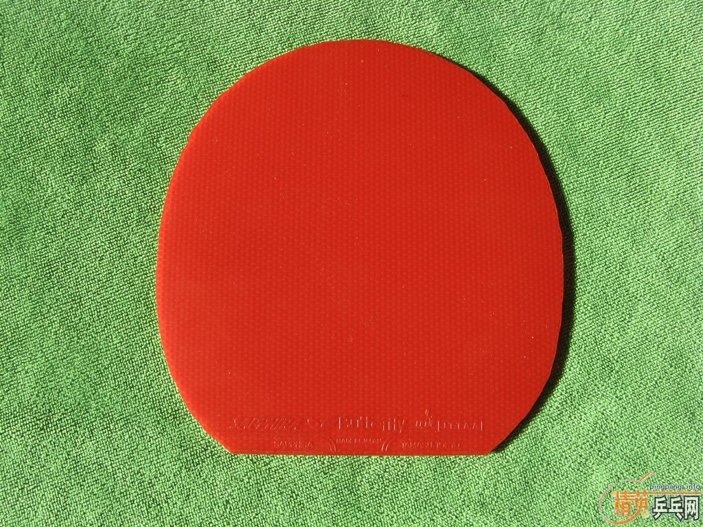 ���ۼ�Ƭ����׽�����ɫ�Լ����������κκ���棬��֧������