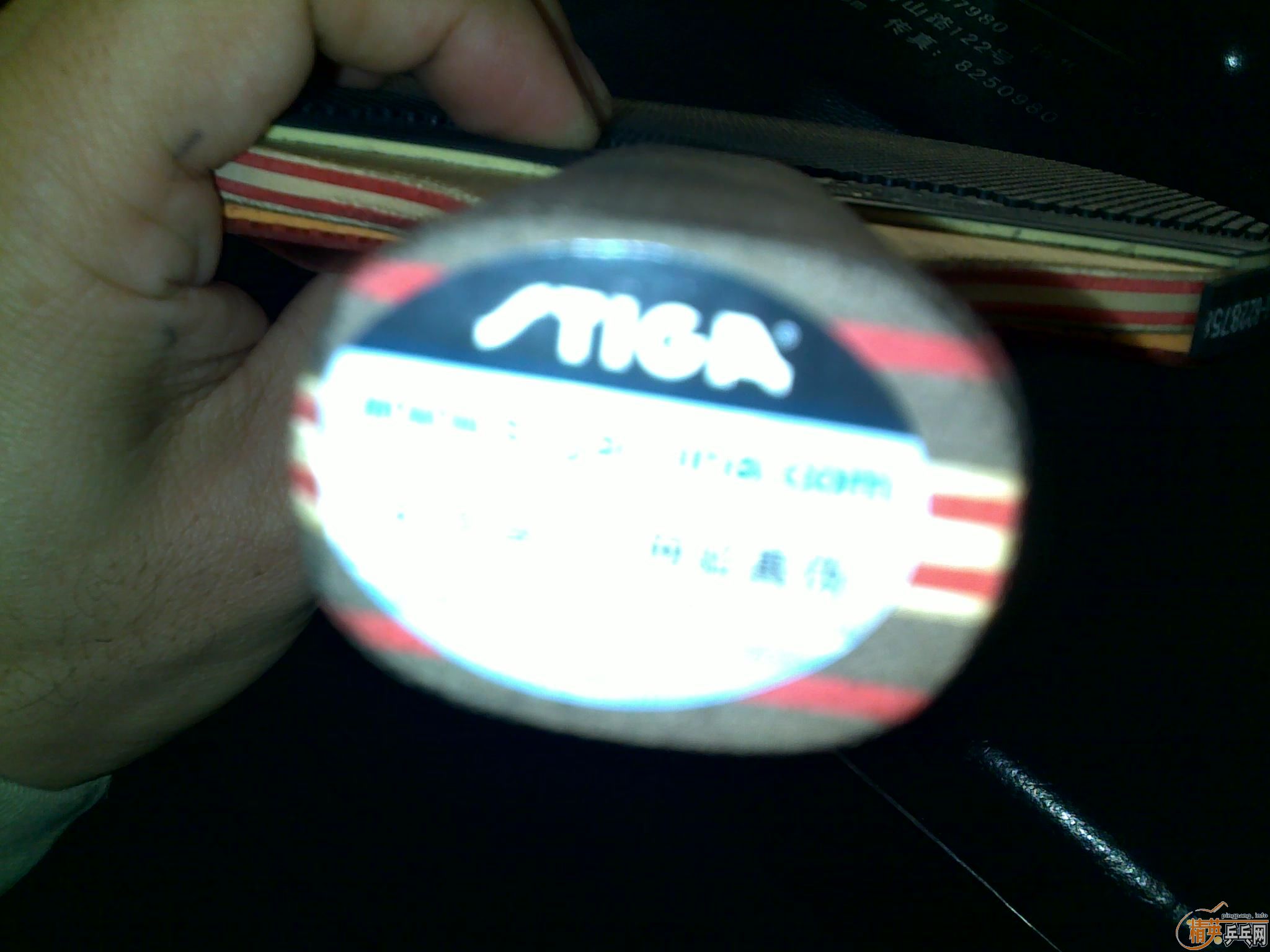 ֱ�ĺᣬ����һֻ�ܺ��µ���Ʒ�л���CL��CL,cl��270����