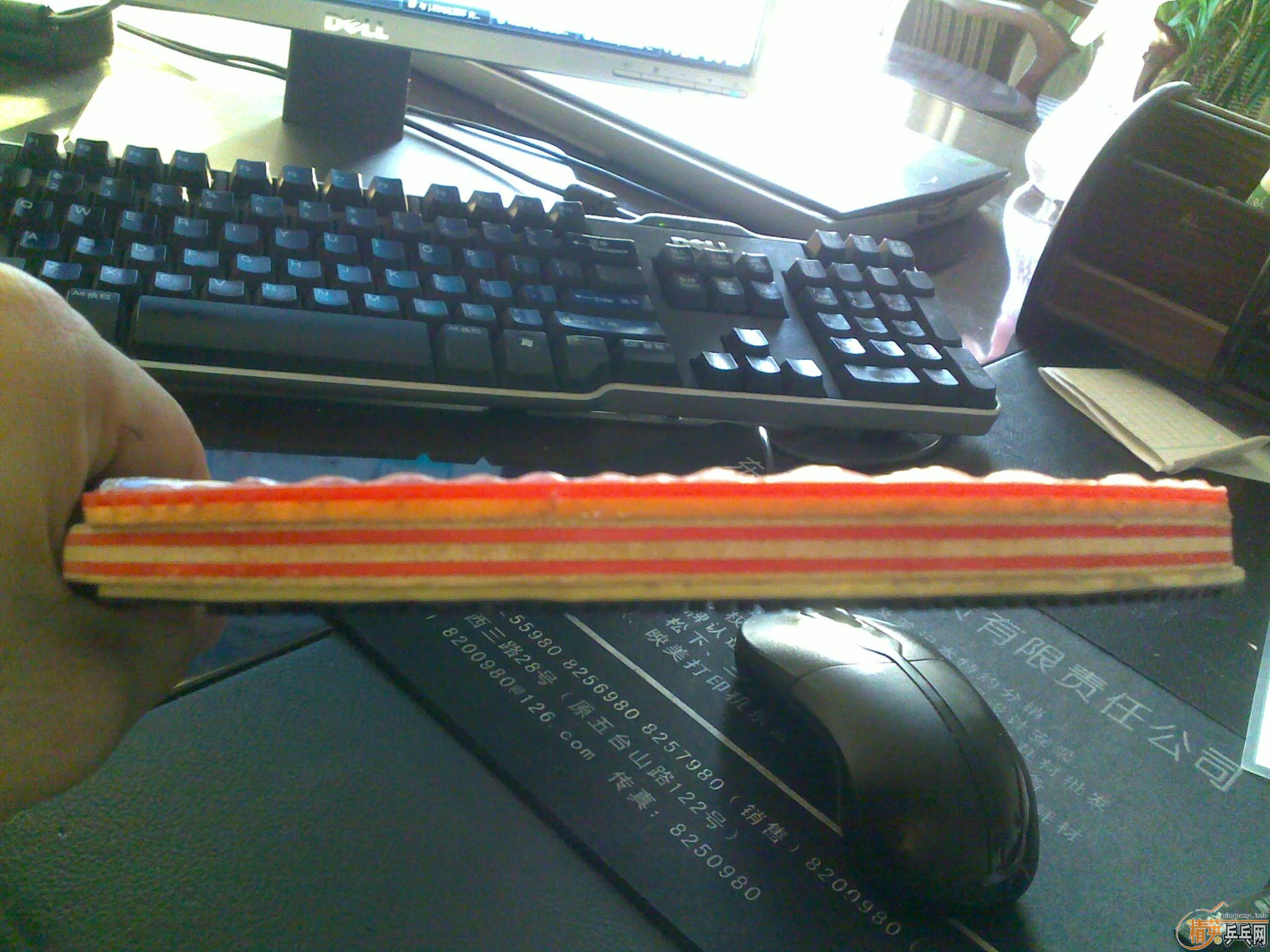 ֱ�ĺᣬ����һֻ�ܺ��µ���Ʒ�л���CL��CL,cl��270����