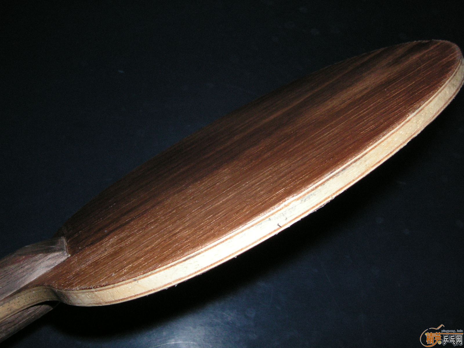 ŷ���������