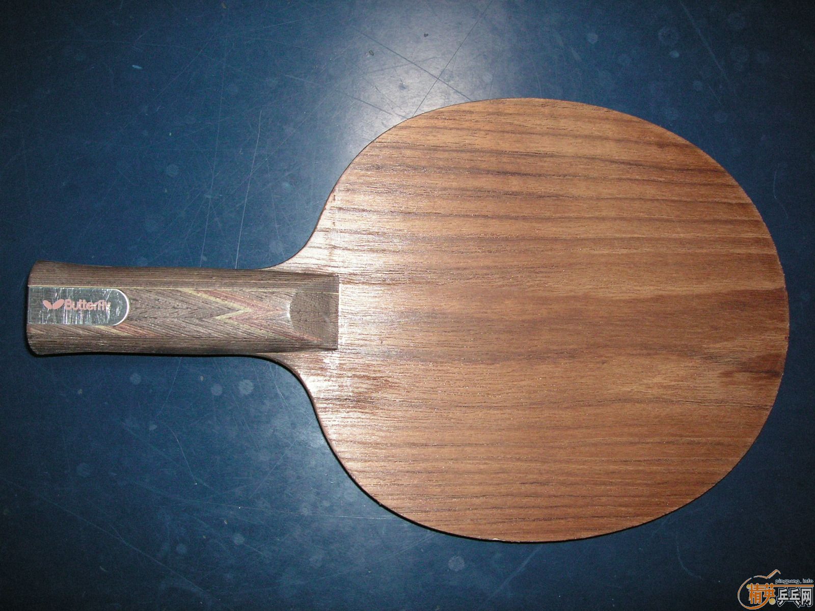 ŷ���������