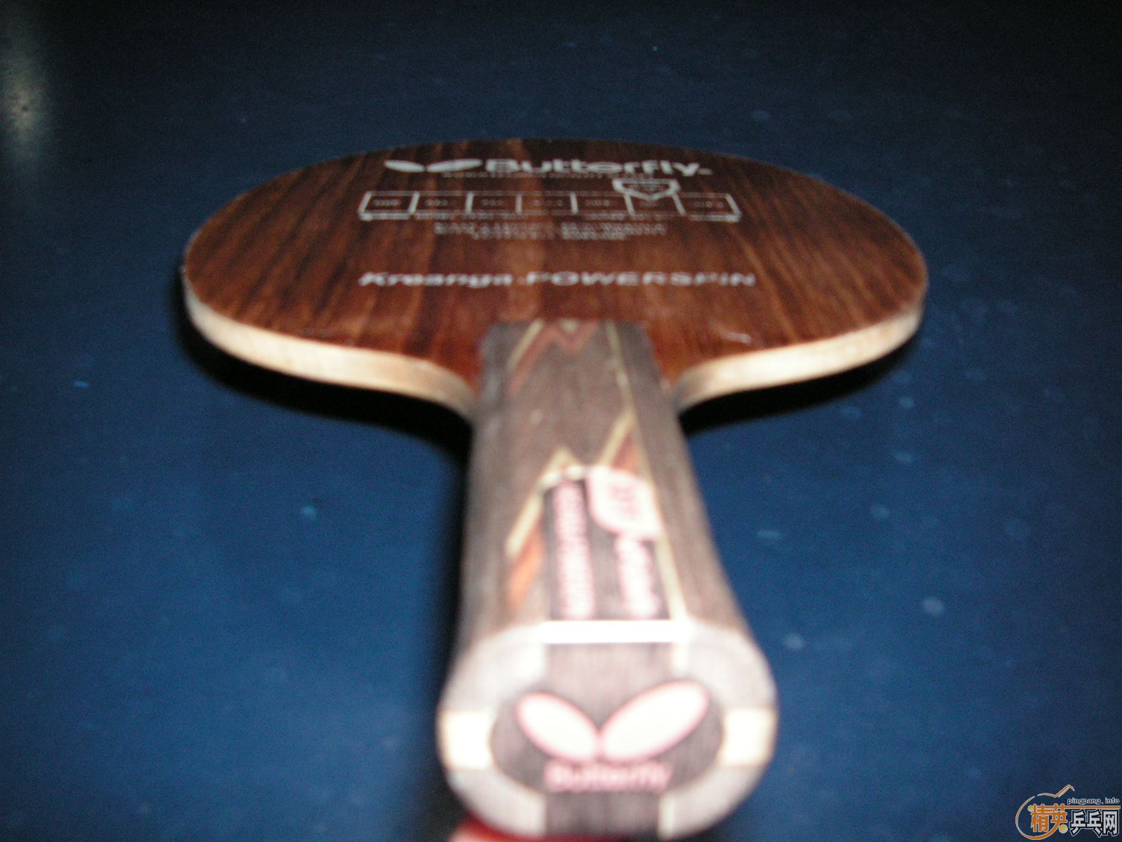 ŷ���������