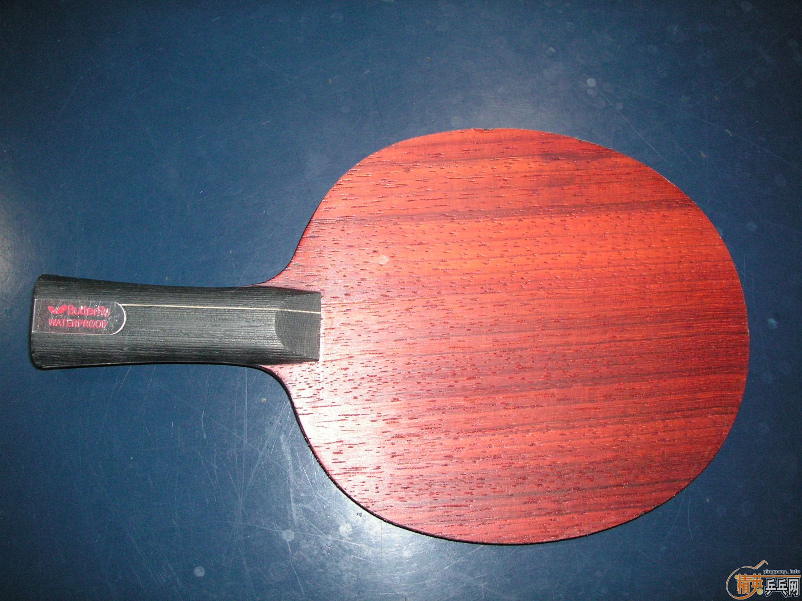 ŷ�����������̼