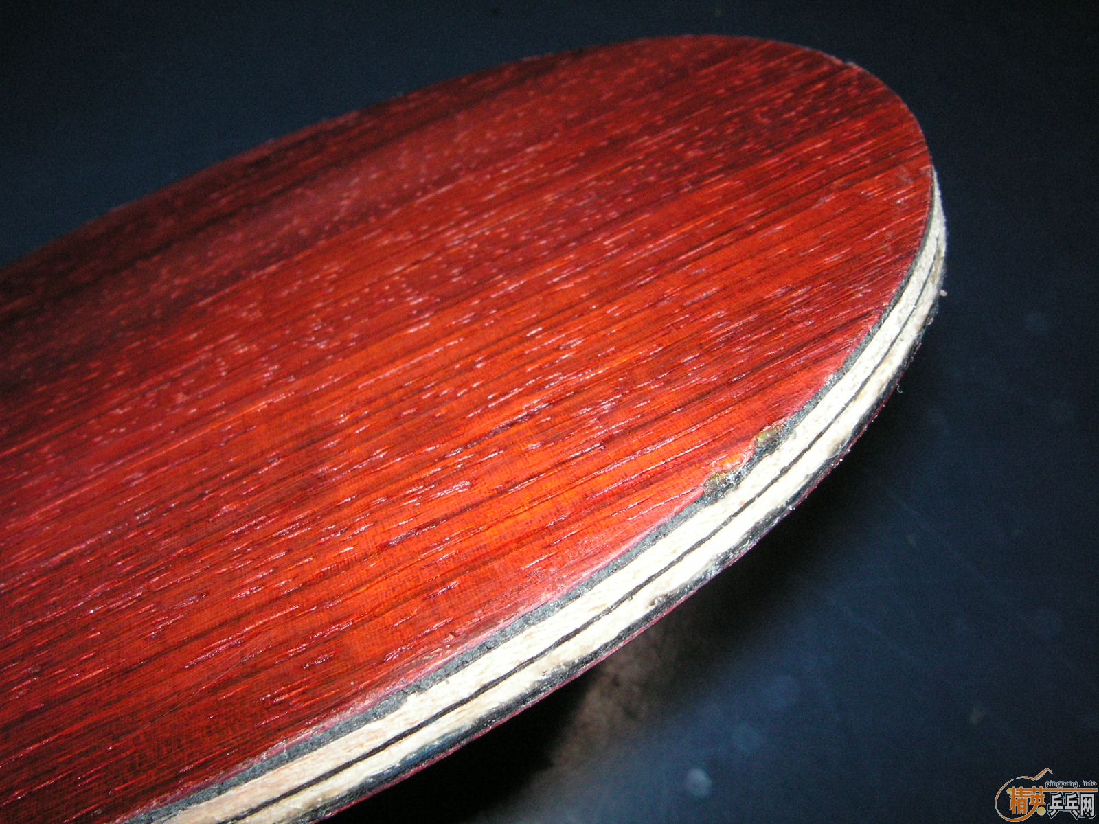 ŷ�����������̼