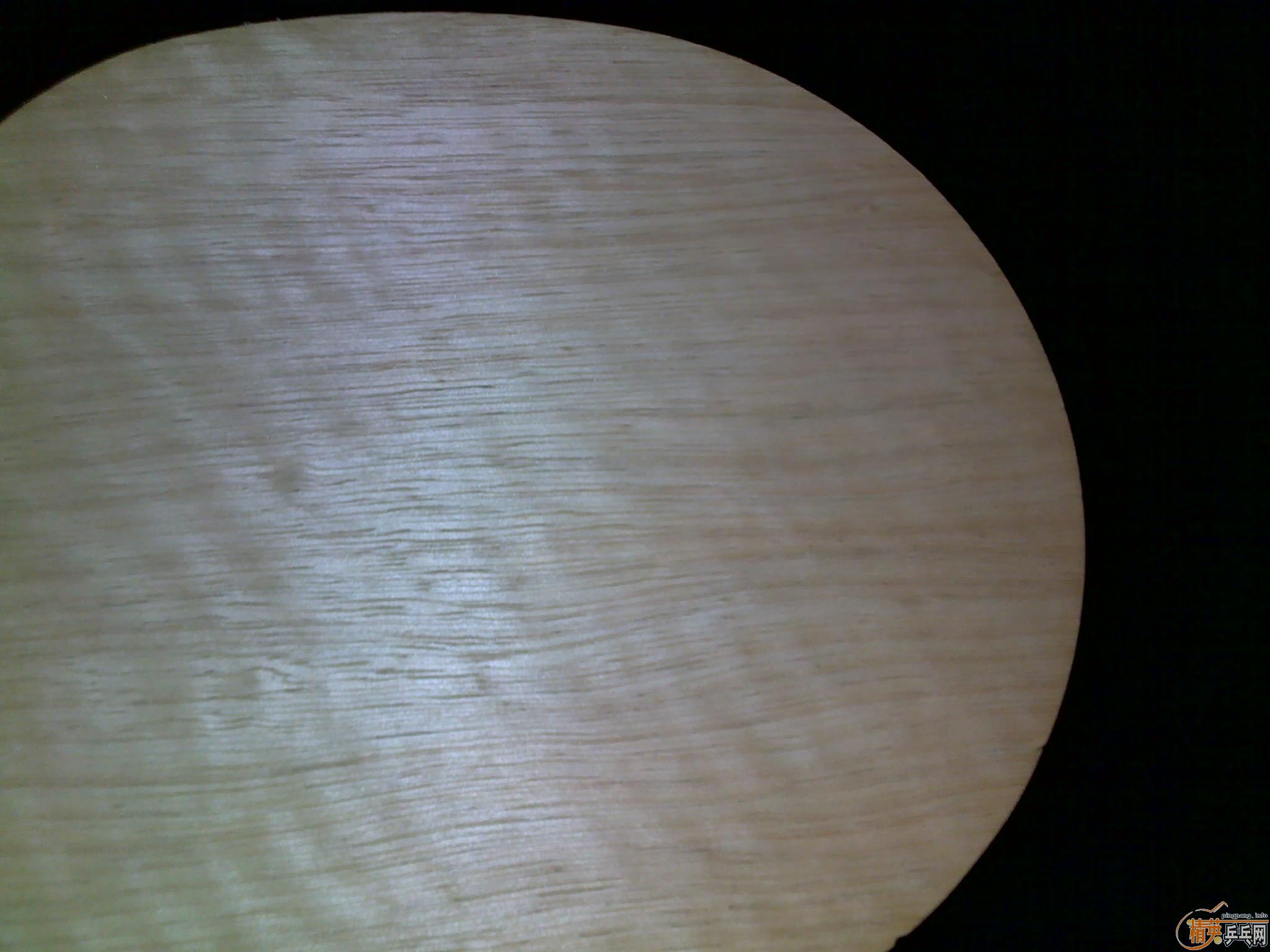 ֱ�ĺᣬ����һֻ�ܺܺõ���Ʒ�л���CL��CL,cl��270����