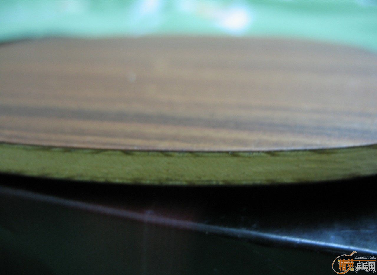 ��֧��������õ��5����˹̼�����Ի�ʵ����5.4