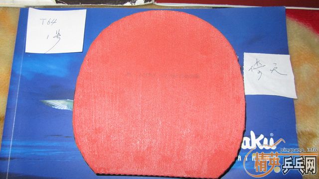 ֧������--------��ɫT05 ��ɫT64 ��2��