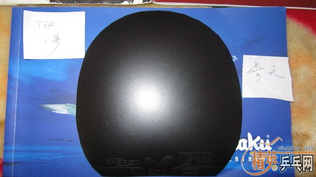 ֧������--------��ɫT05 ��ɫT64 ��2��