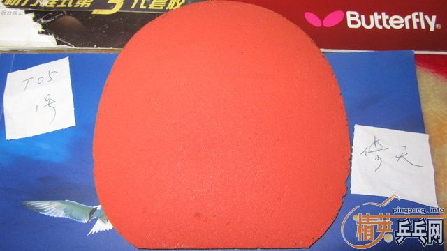 ֧������--------��ɫT05 ��ɫT64 ��2��