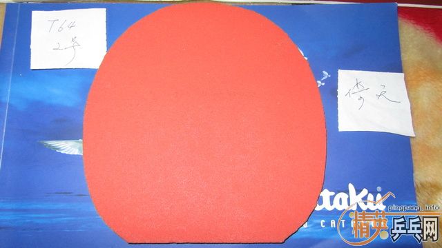 ֧������--------��ɫT05 ��ɫT64 ��2��