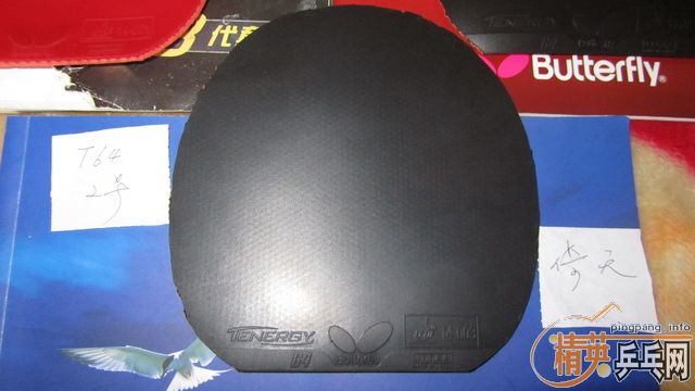 ֧������--------��ɫT05 ��ɫT64 ��2��