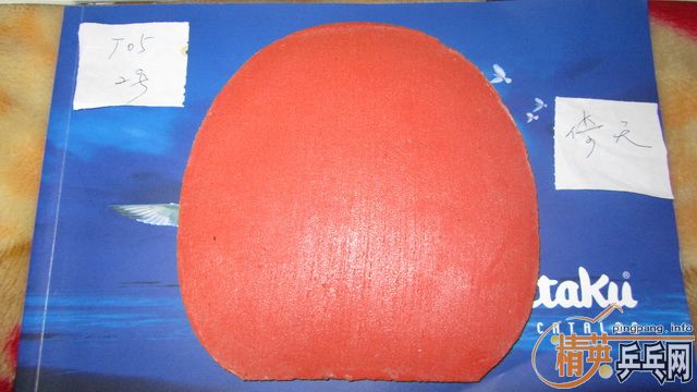 ֧������--------��ɫT05 ��ɫT64 ��2��