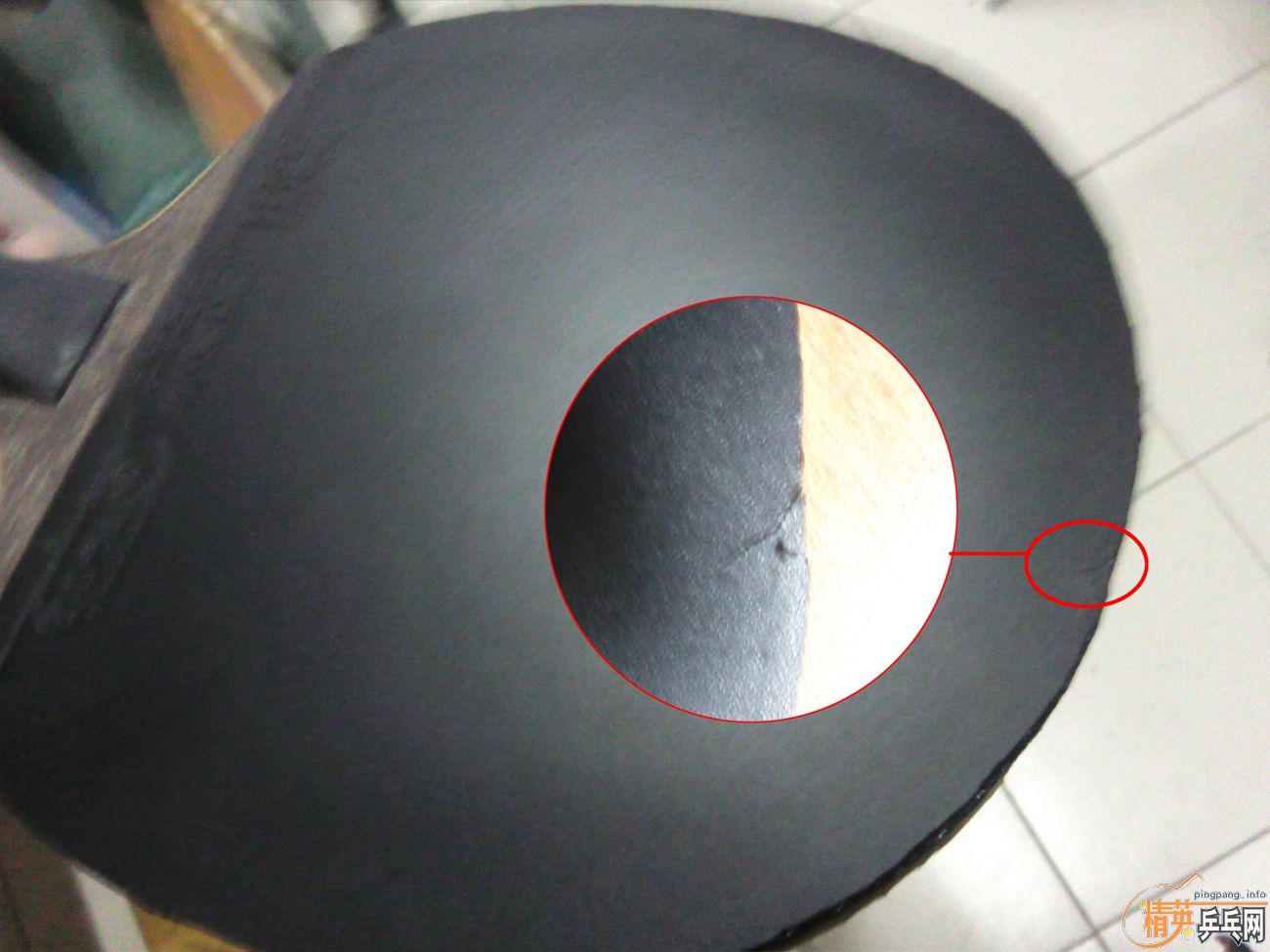 СʱĽ vega proֱʣ³