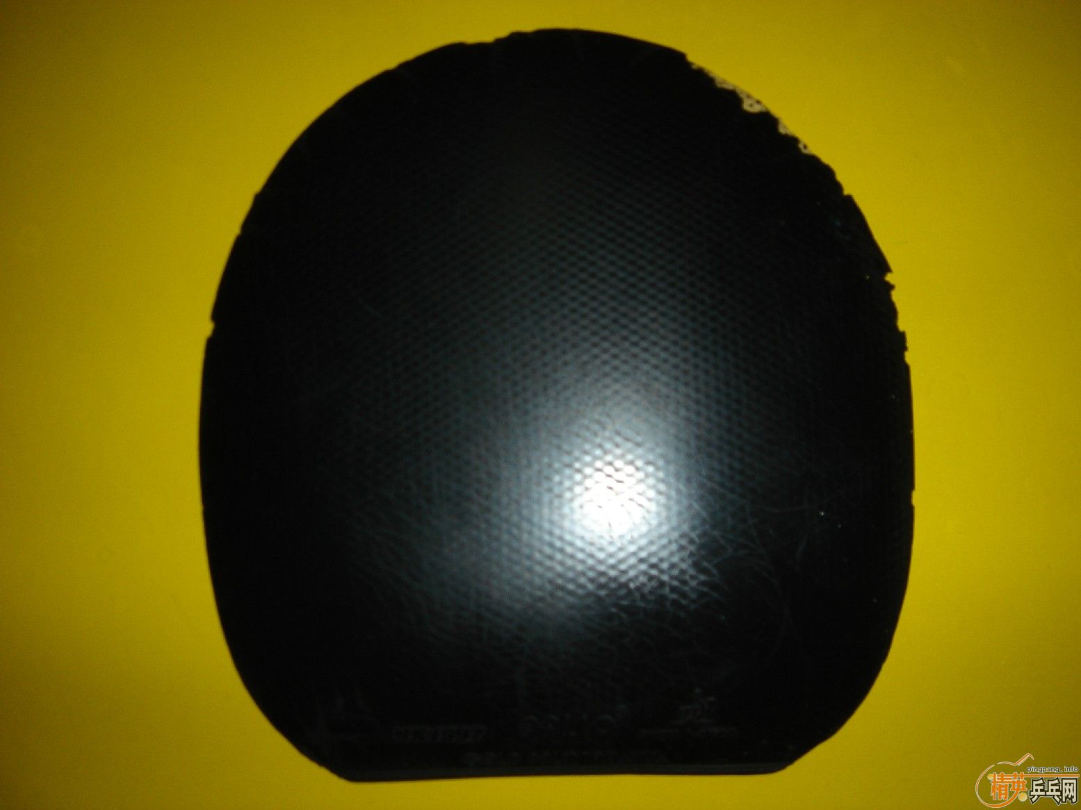 SRIVER��MAX֧��������70Ԫ��