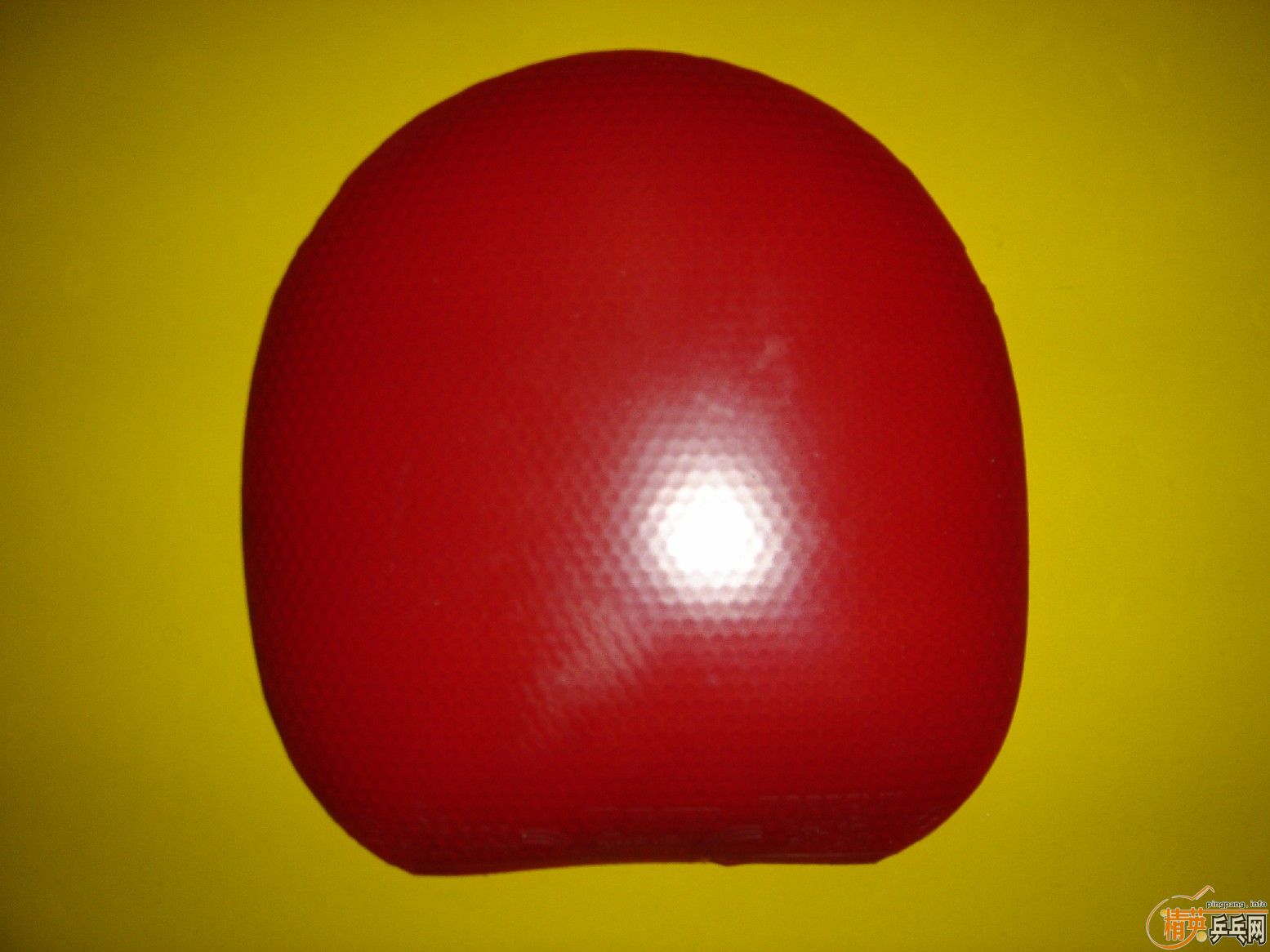 SRIVER��MAX֧��������70Ԫ��