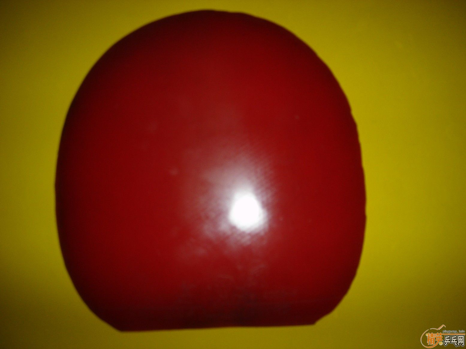 SRIVER��MAX֧��������70Ԫ��