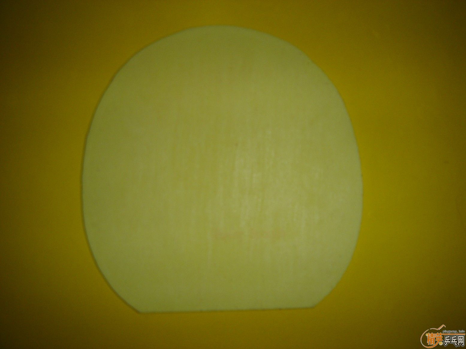 SRIVER��MAX֧��������70Ԫ��