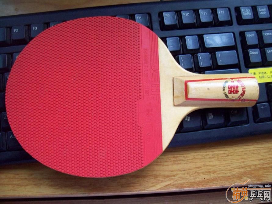 �������Ϻ�˫ϲ