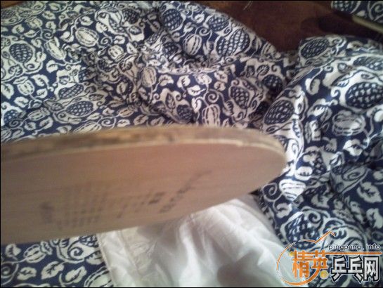 �����Ƶ�VISCARIA���������������ã�����+sriver)750Ԫ���ʡ���ͼ����