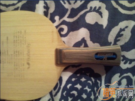 �����Ƶ�VISCARIA���������������ã�����+sriver)750Ԫ���ʡ���ͼ����