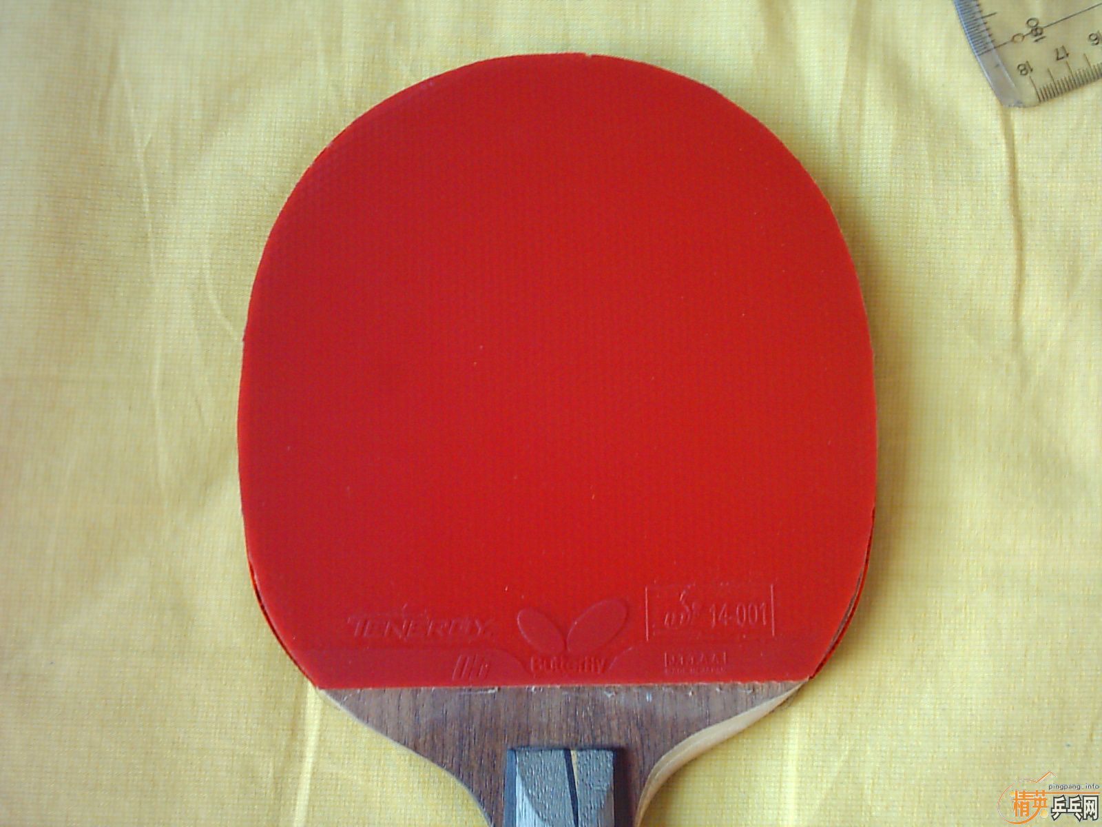 T05 ----------160����