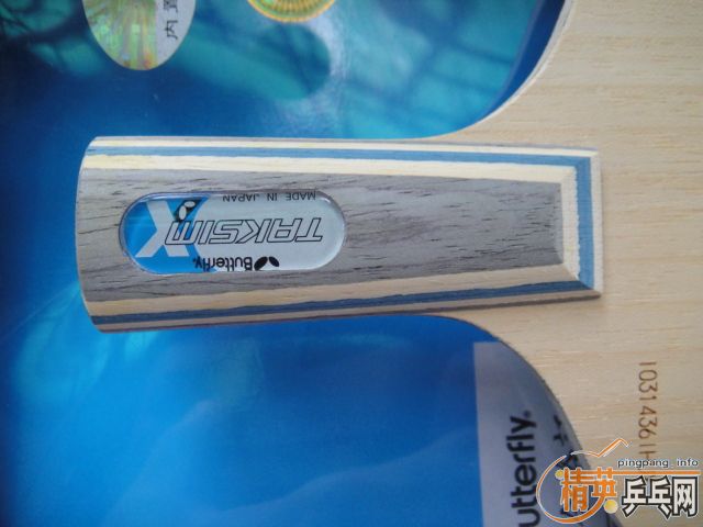 �����-----------������