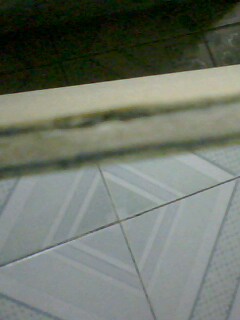 500���˷ѳ���̼