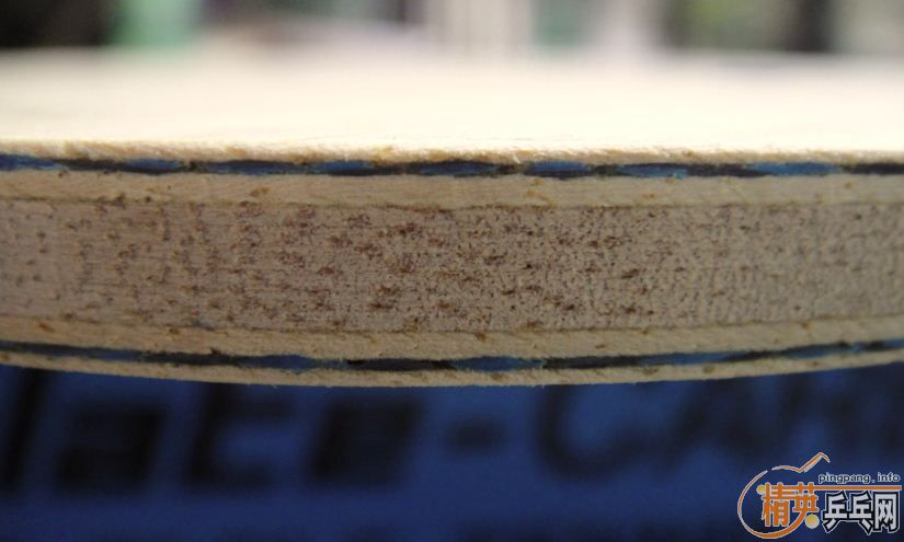 �����-----------������