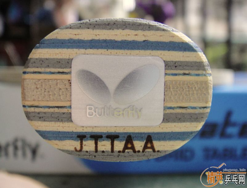 �����-----------������