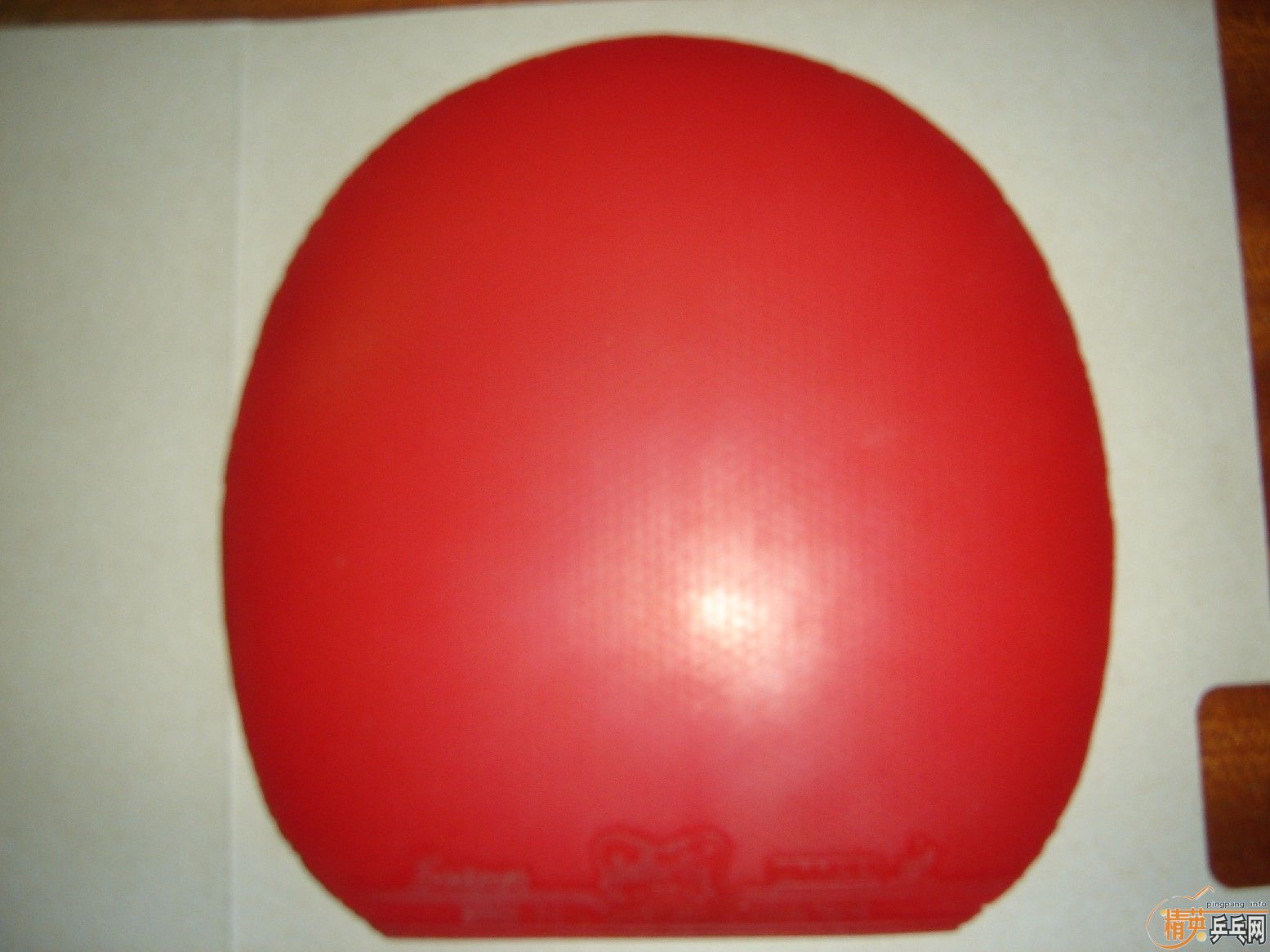 SRIVER��MAX���׽�