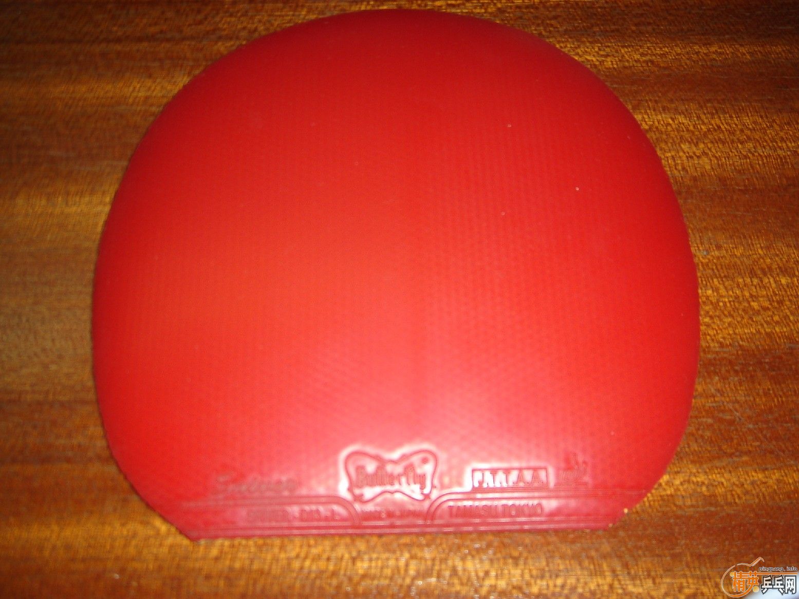 SRIVER��MAX���׽�