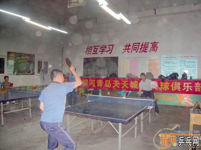 ����11��3�վ�Ӣ�����ൺ�������������ɼ�������