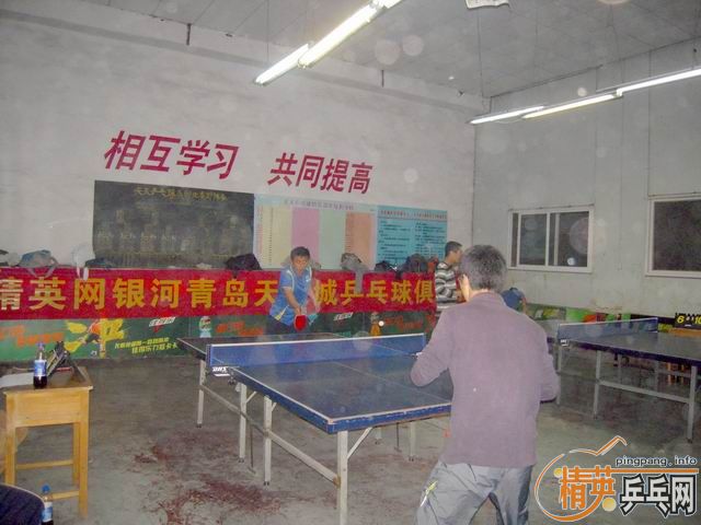 ����11��3�վ�Ӣ�����ൺ�������������ɼ�������