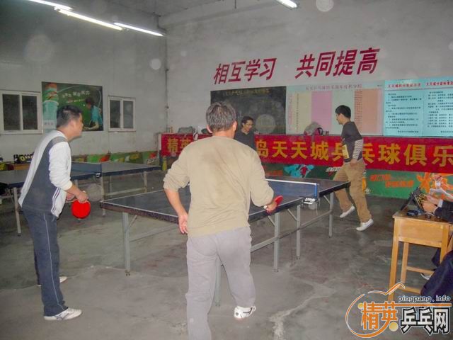 ����11��3�վ�Ӣ�����ൺ�������������ɼ�������