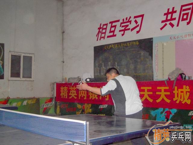 ����11��3�վ�Ӣ�����ൺ�������������ɼ�������