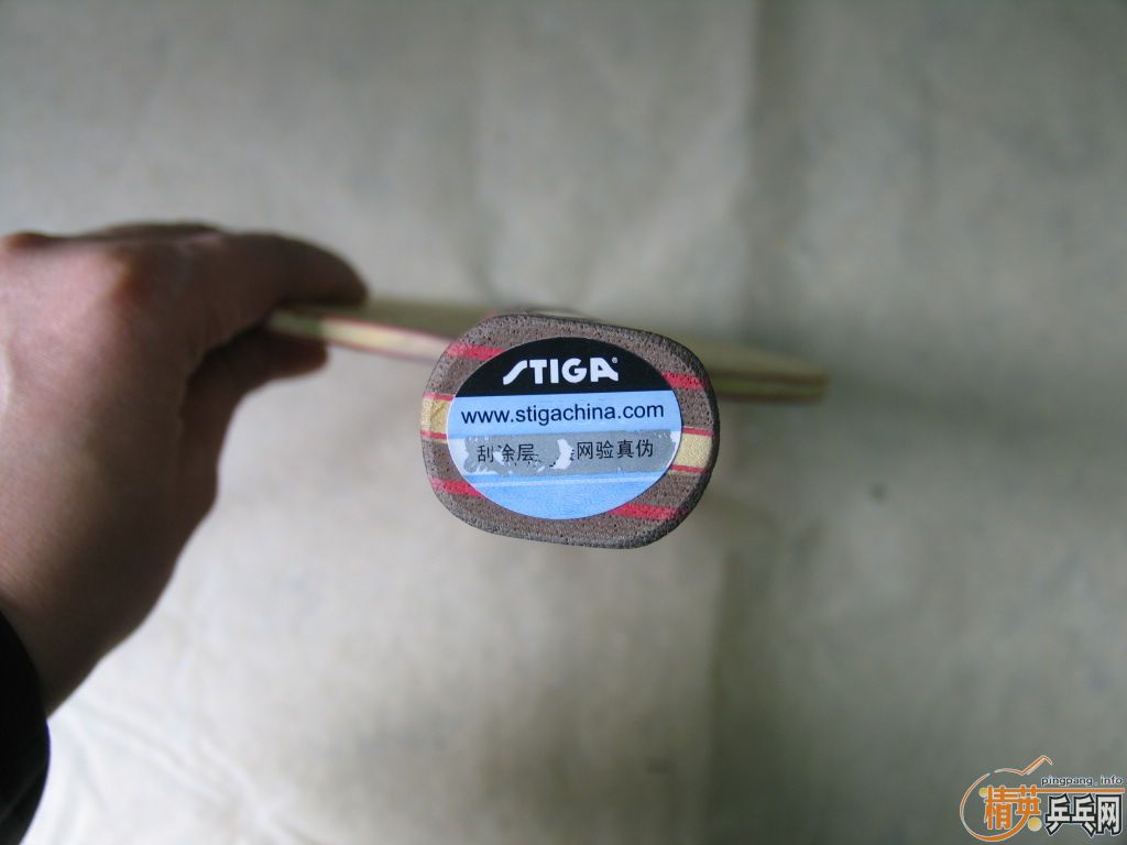 2���л�Stiga AE