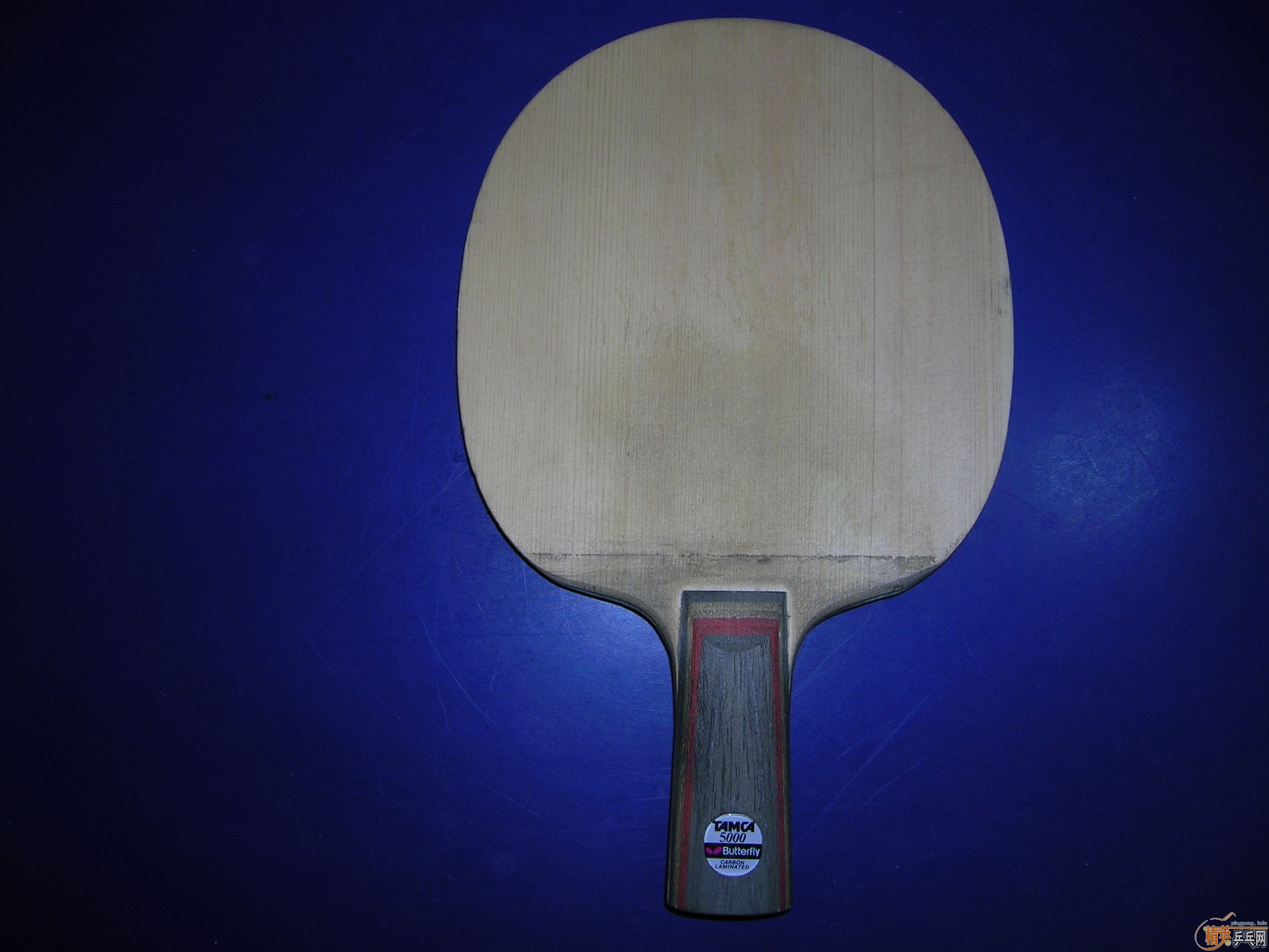 ������̼