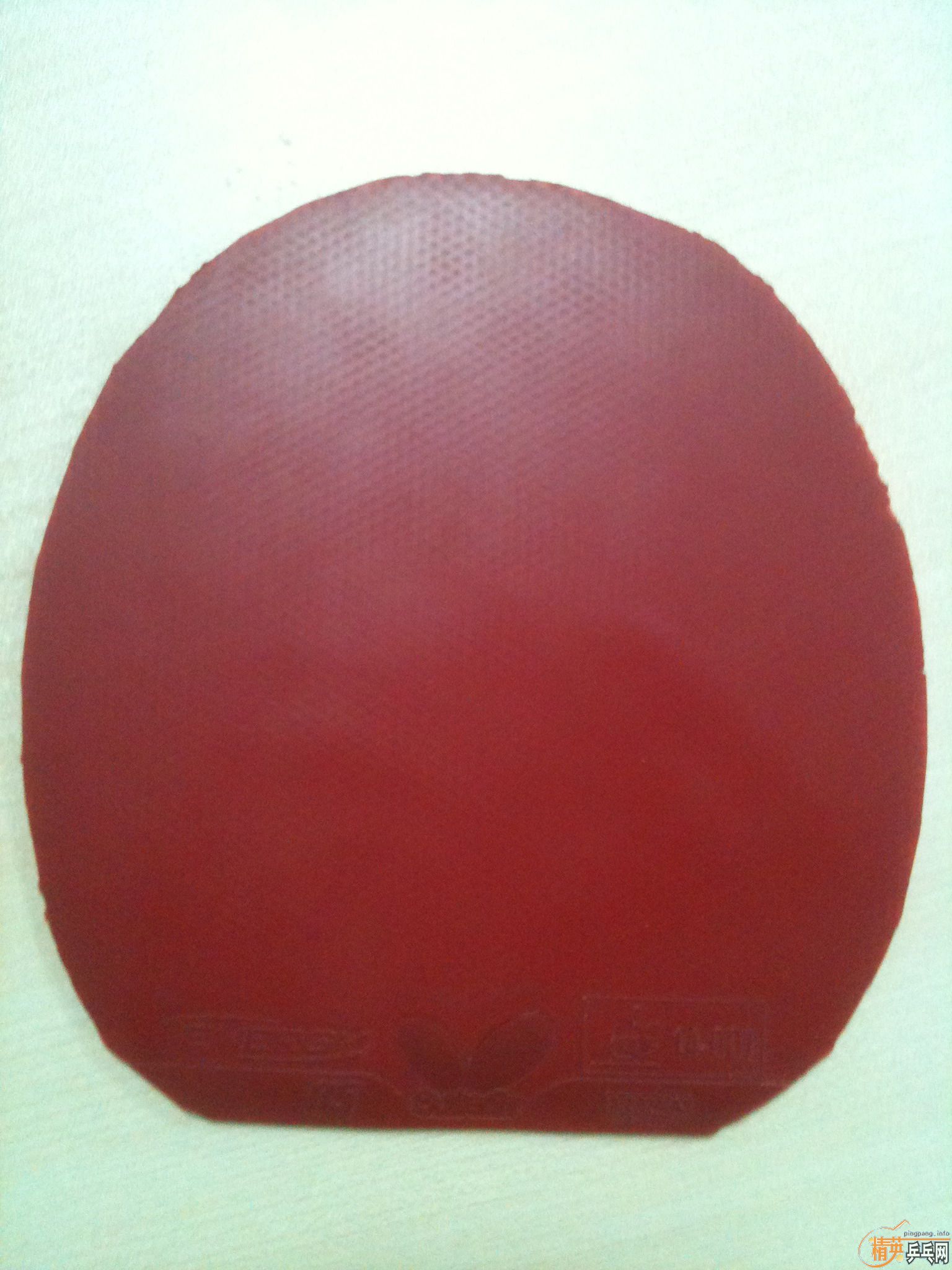 120Ԫ������һ�����µĺ�ɫT05,ʩ̼��С.