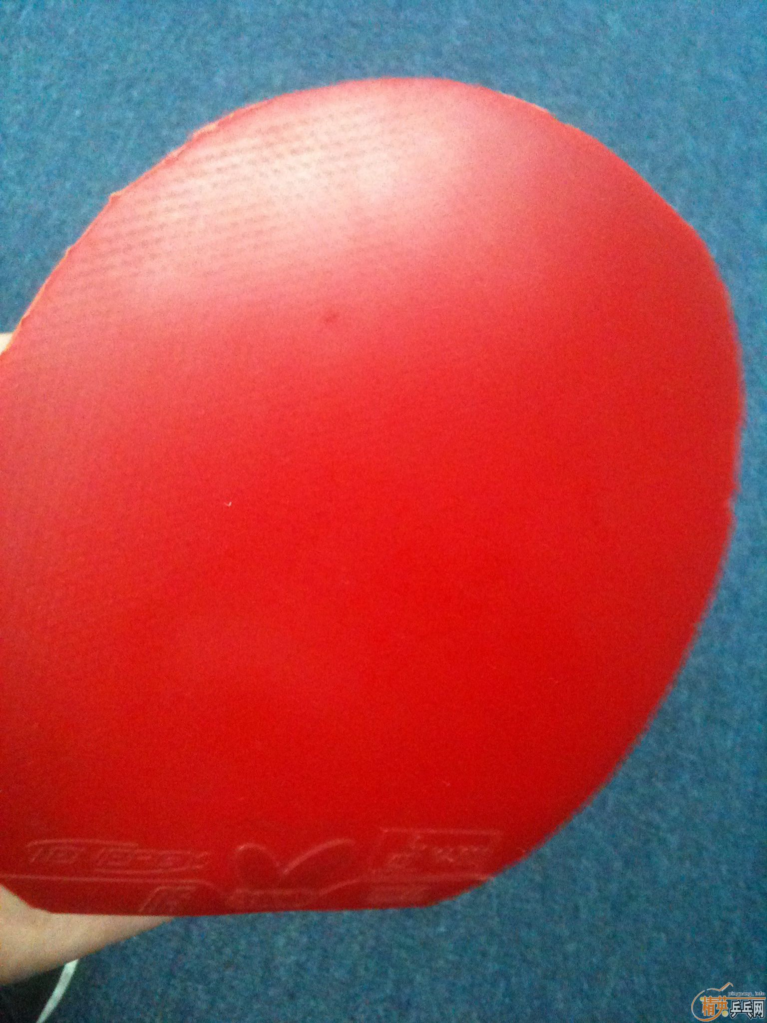 120Ԫ������һ�����µĺ�ɫT05,ʩ̼��С.