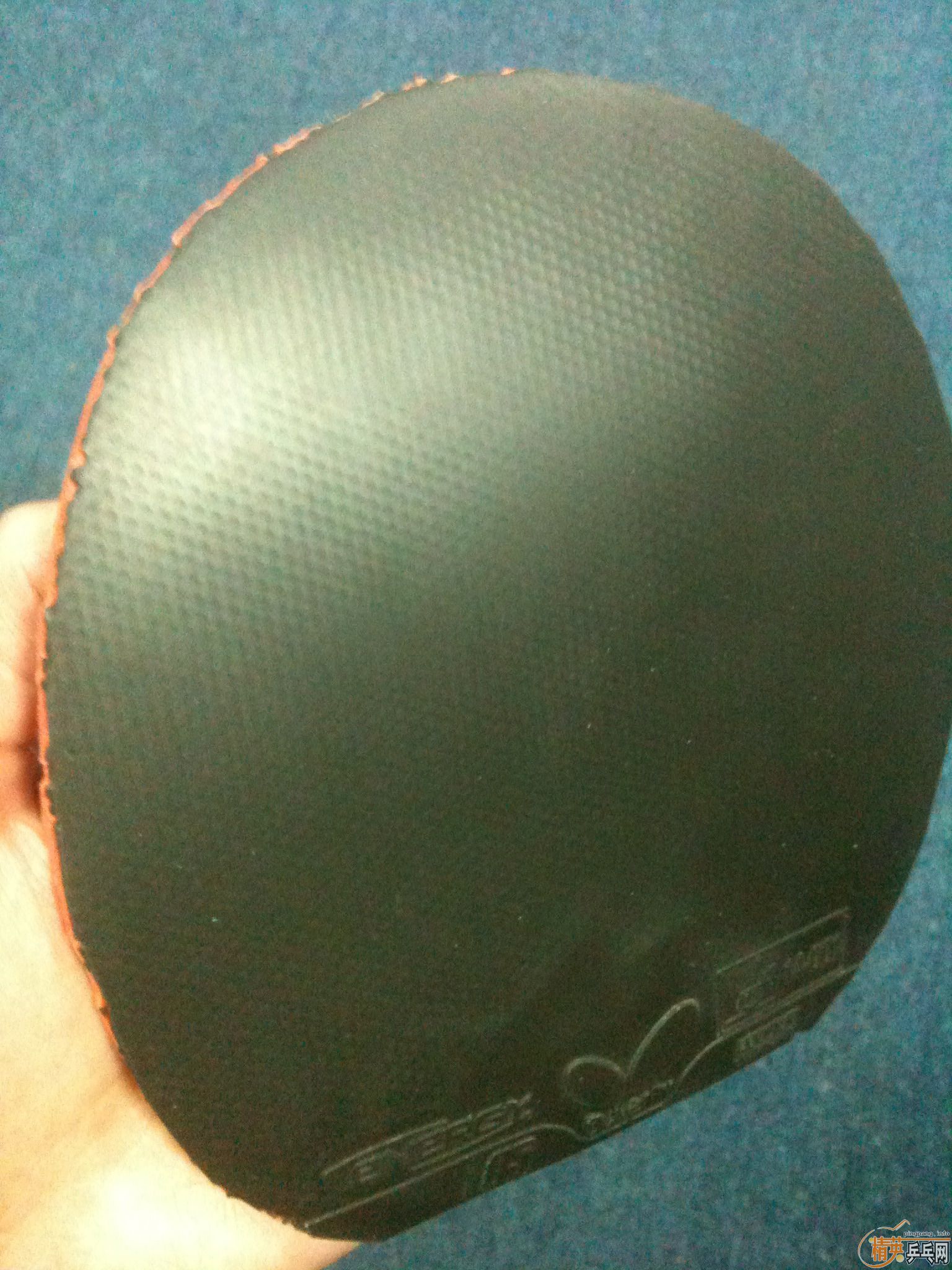 120Ԫ������һ�����µĺ�ɫT05,ʩ̼����,�Ұ���.