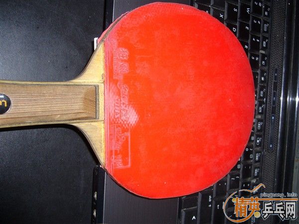 NEO�տ�39�ȡ�20������֧��֧�������ף�