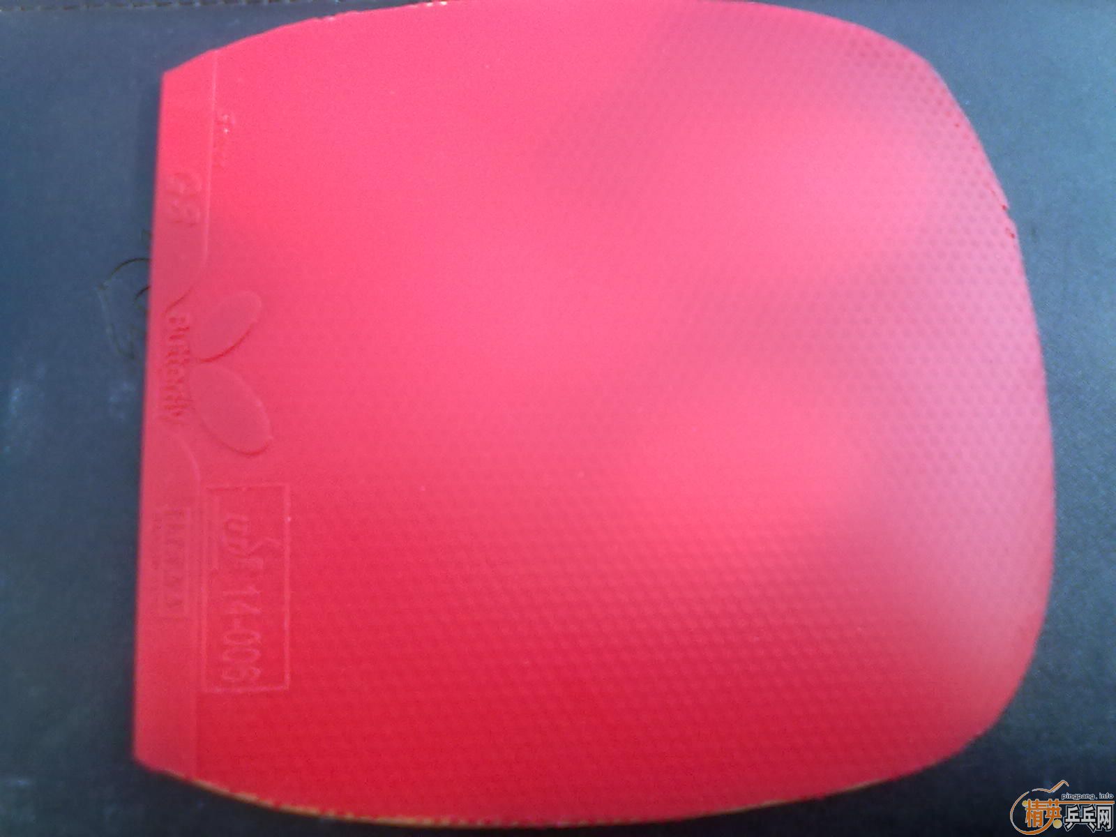 ��ֹ�յ�5����9.5�º���G3�׽���ֻ���5�ν�������ע���棩