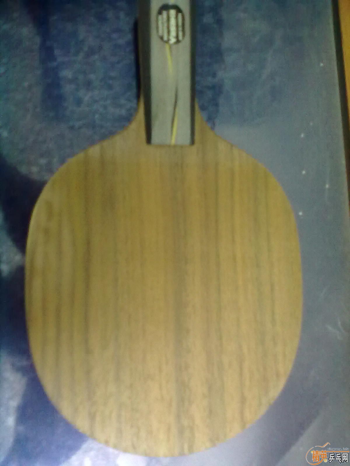 ���л�YEO��9���£��������ٶ�Ԫ